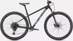 DEMO - 2021 Rockhopper Expert 29