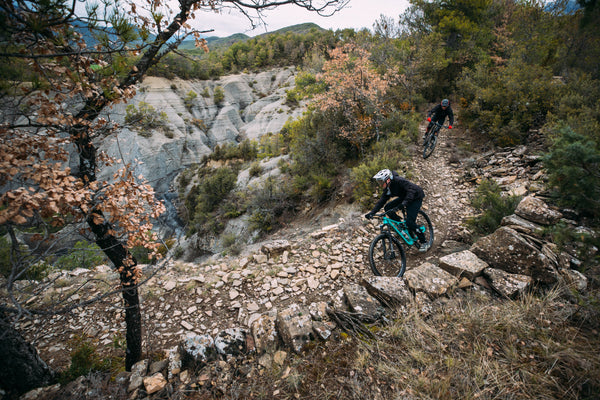 Specialized Bikes