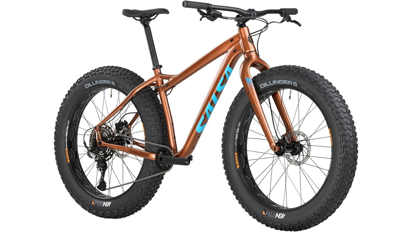 2025 Salsa HeyDay! CUES